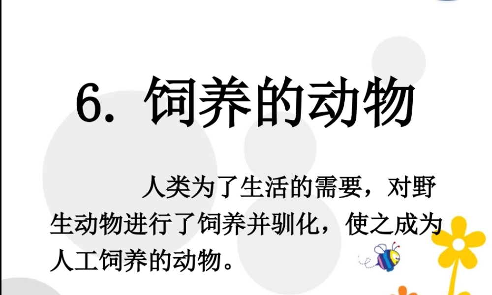 首师大小学科学三上《6.饲养的动物》PPT课件.ppt