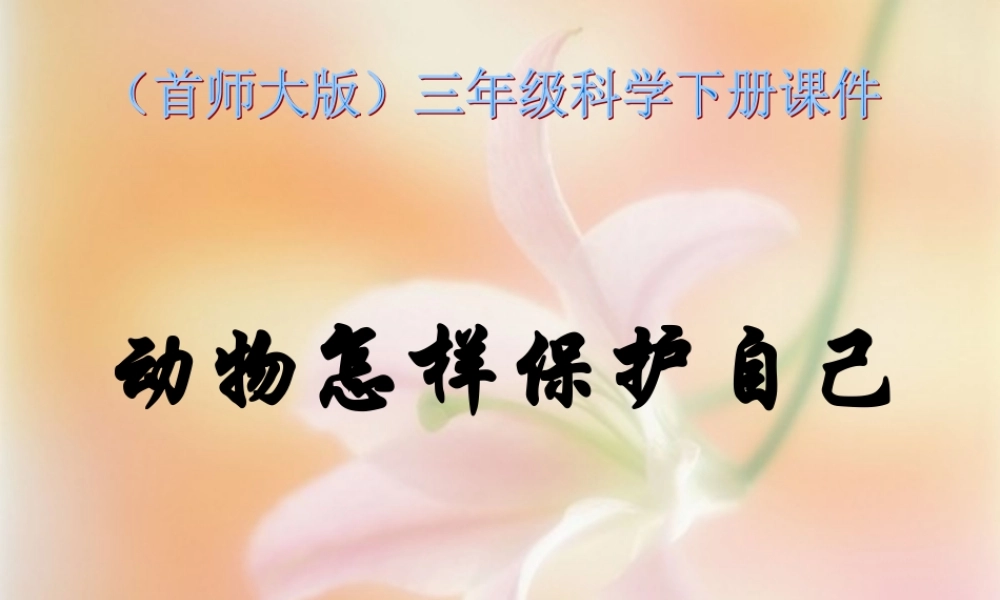 首师大小学科学三下《10.动物怎样保护自己》PPT课件(1) .ppt
