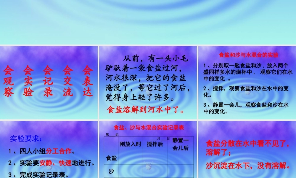 首师大小学科学三下《1.水能溶解一些物质》PPT课件(2) .ppt