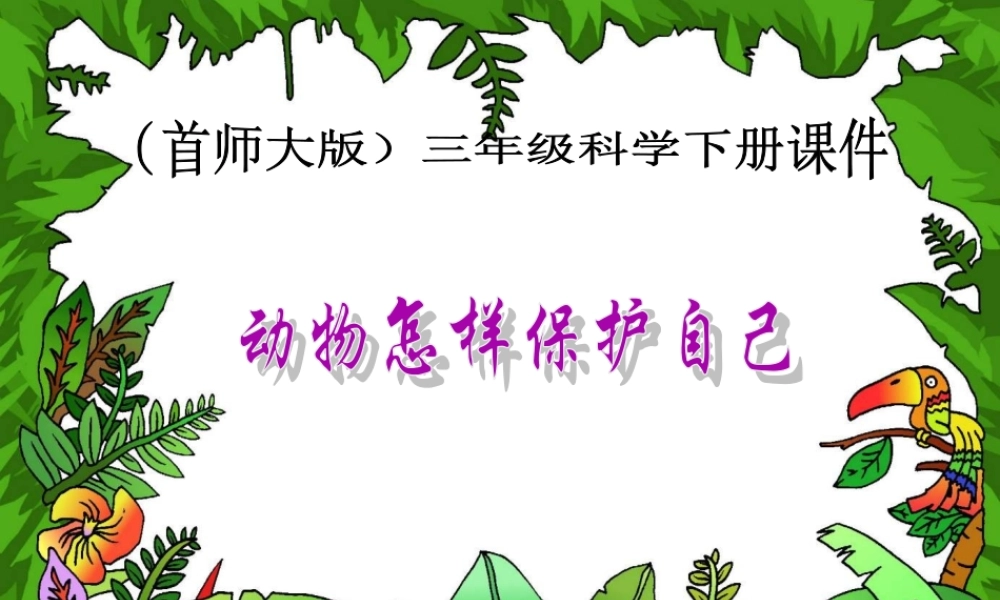 首师大小学科学三下《10.动物怎样保护自己》PPT课件(2) .ppt