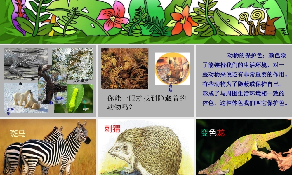 首师大小学科学三下《10.动物怎样保护自己》PPT课件(2) .ppt