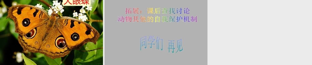 首师大小学科学三下《10.动物怎样保护自己》PPT课件(2) .ppt