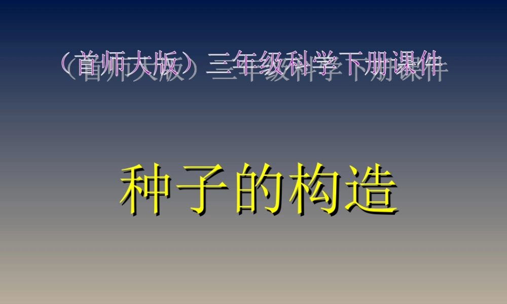 首师大小学科学三下《13.种子的构造》PPT课件(4) .ppt