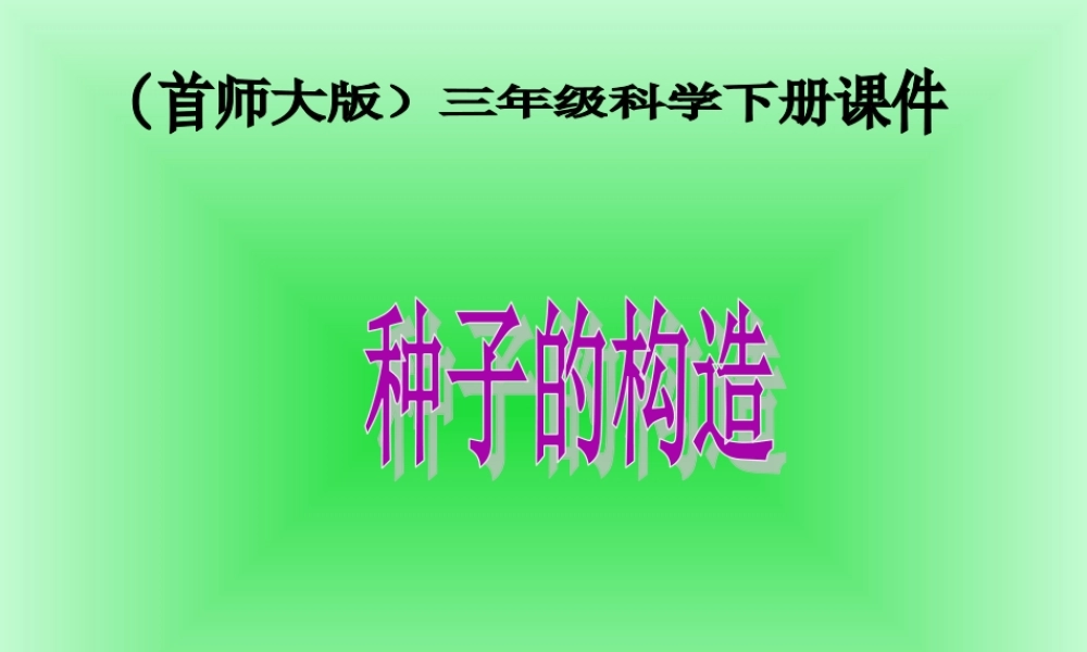 首师大小学科学三下《13.种子的构造》PPT课件(6) .ppt
