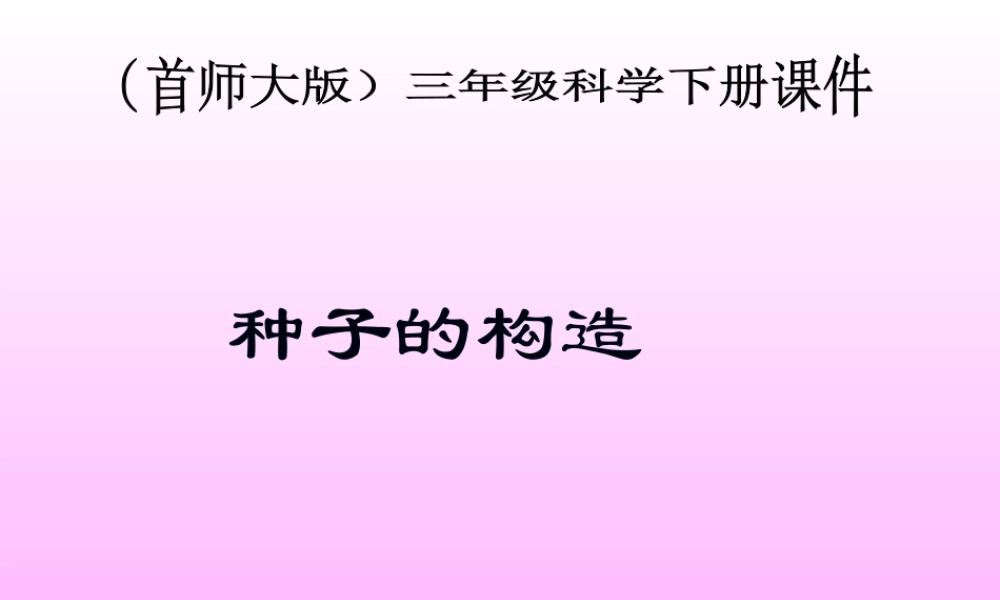 首师大小学科学三下《13.种子的构造》PPT课件(1) .ppt