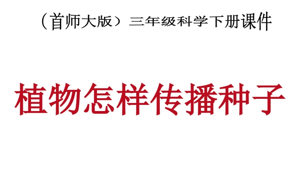 首师大小学科学三下《12.植物怎样传播种子》PPT课件(1).ppt