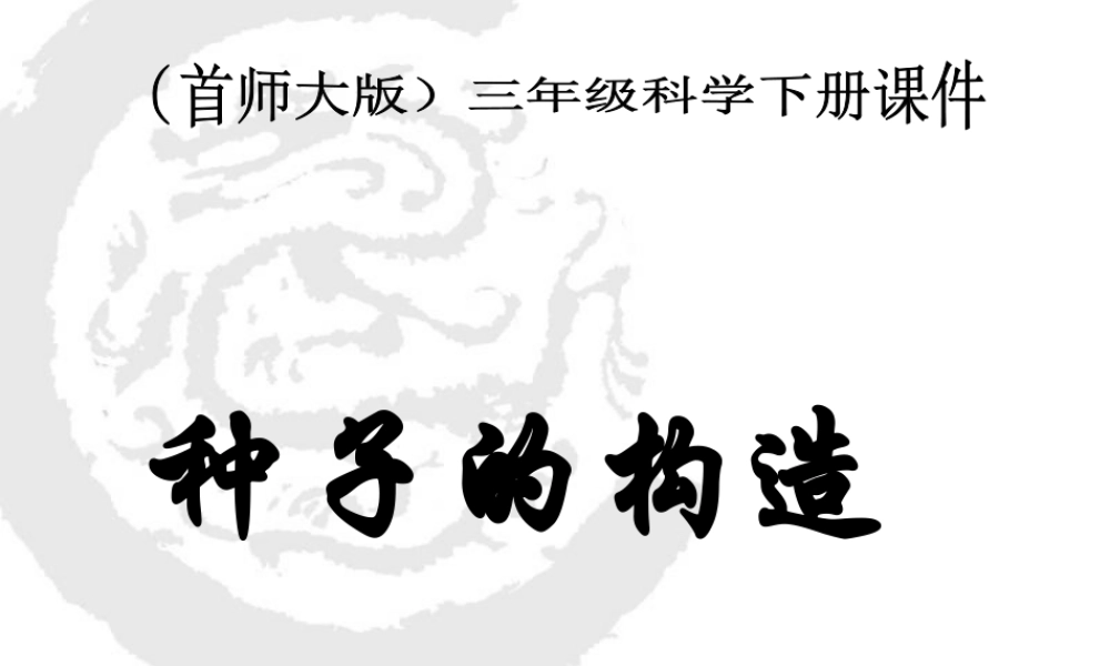 首师大小学科学三下《13.种子的构造》PPT课件(2) .ppt