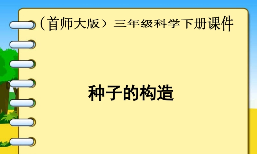 首师大小学科学三下《13.种子的构造》PPT课件(5) .ppt