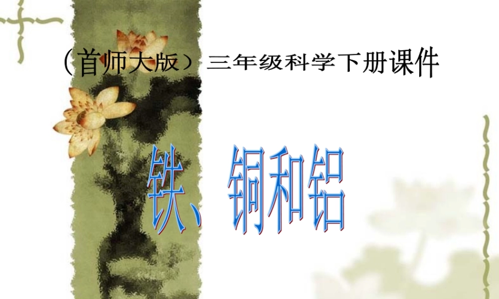 首师大小学科学三下《16.铁、铜和铝》PPT课件.ppt