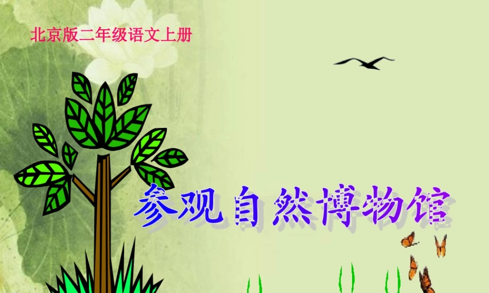 首师大小学科学三下《19.北京自然博物馆》PPT课件.ppt