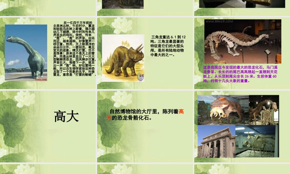 首师大小学科学三下《19.北京自然博物馆》PPT课件.ppt