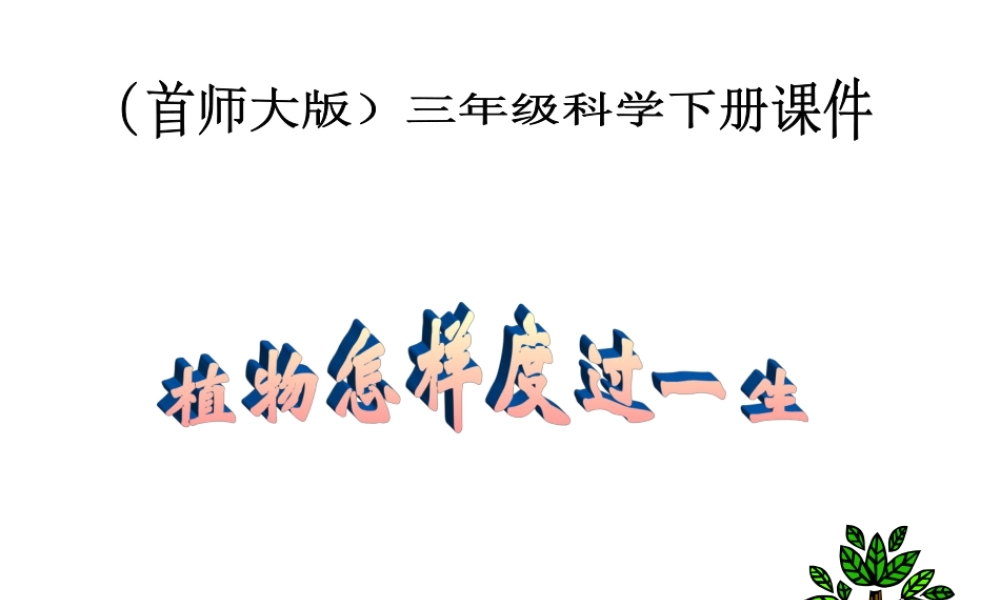 首师大小学科学三下《14.植物怎样度过一生》PPT课件(3) .ppt