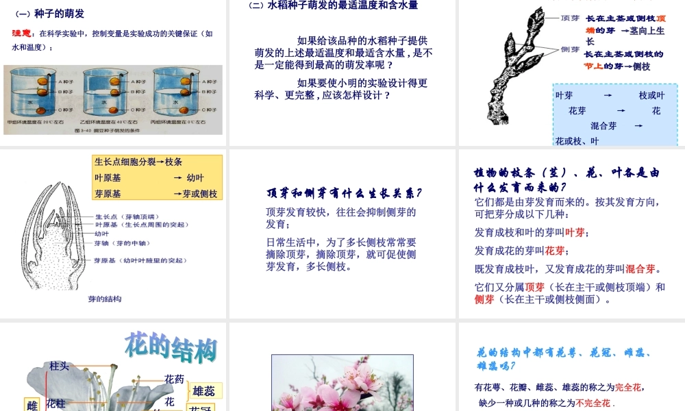 首师大小学科学三下《14.植物怎样度过一生》PPT课件(3) .ppt