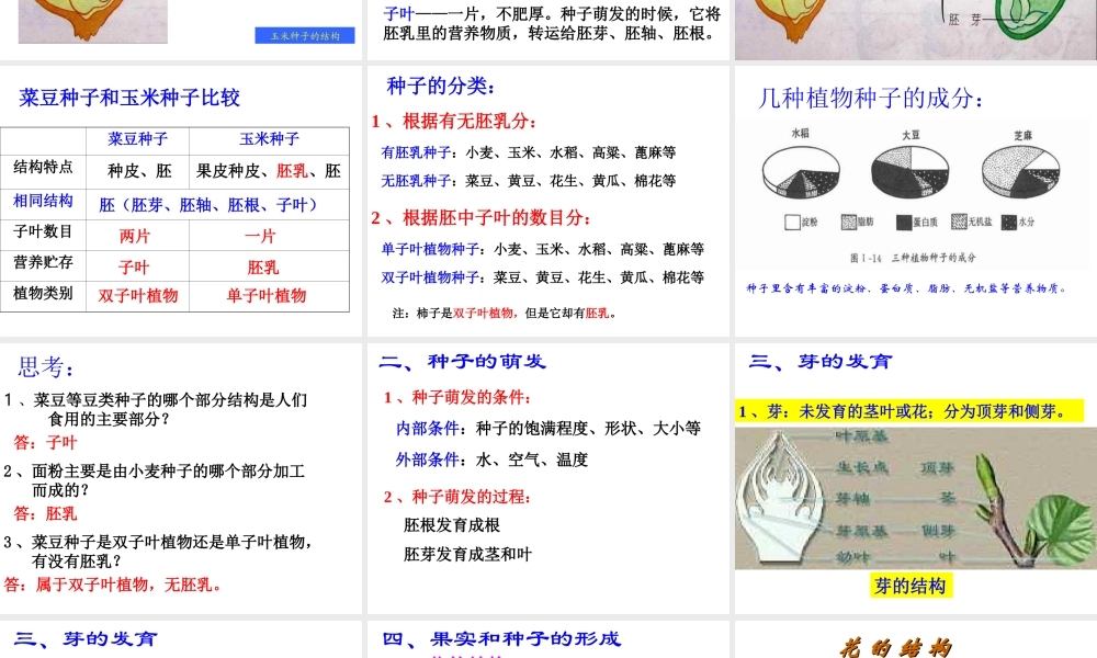 首师大小学科学三下《14.植物怎样度过一生》PPT课件(2) .ppt