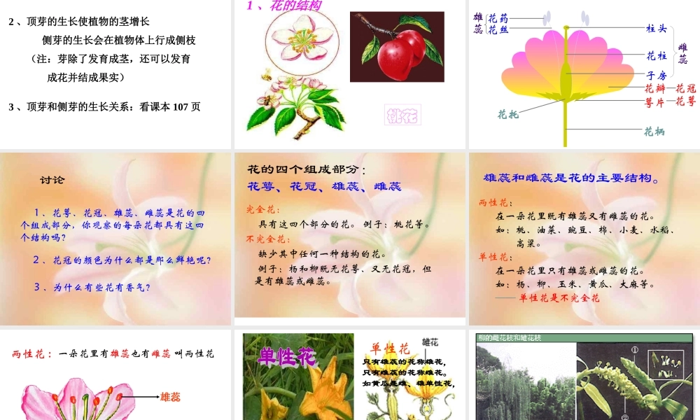首师大小学科学三下《14.植物怎样度过一生》PPT课件(2) .ppt