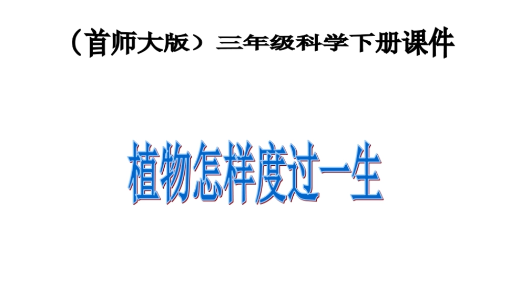 首师大小学科学三下《14.植物怎样度过一生》PPT课件(1) .ppt