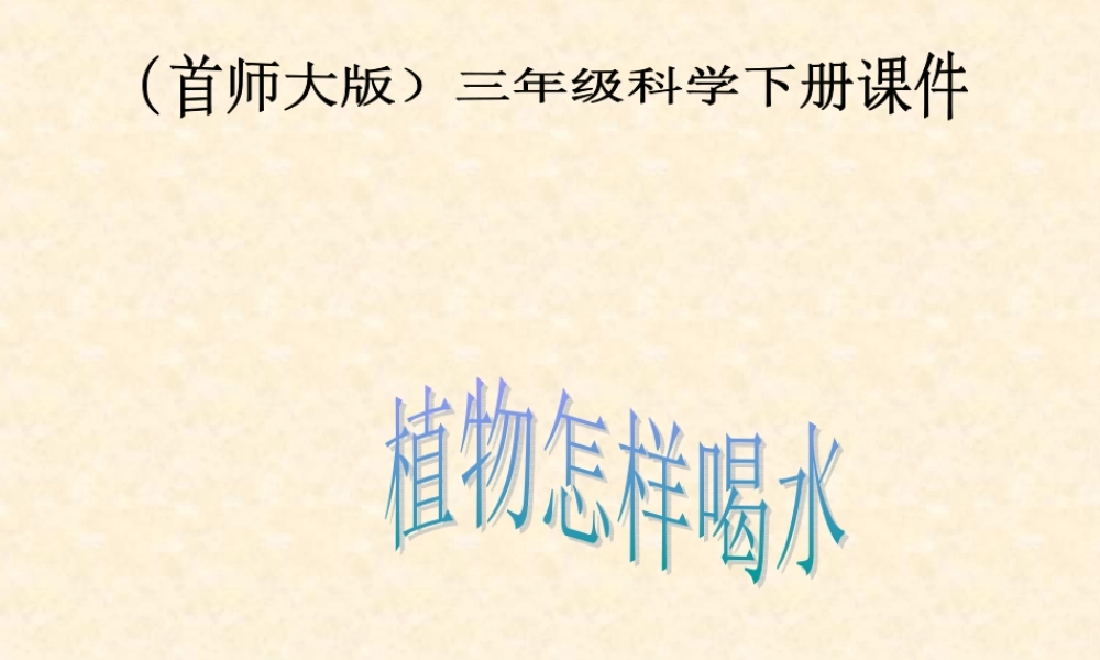 首师大小学科学三下《15.植物怎样喝水》PPT课件.ppt