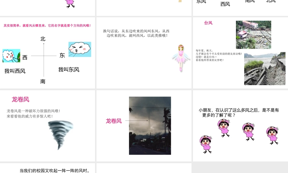 首师大小学科学三下《6.流动的空气》PPT课件(2) .ppt