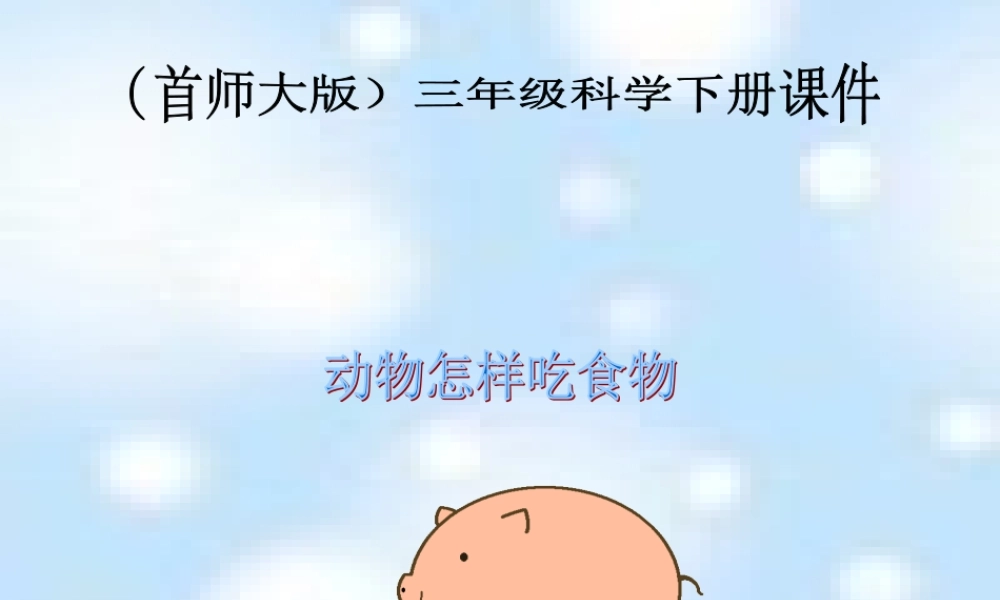 首师大小学科学三下《9.动物怎样吃食物》PPT课件.ppt