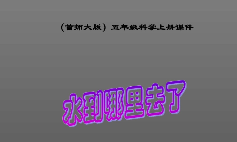 首师大小学科学五上《1.水到哪里去了》PPT课件(3) .ppt