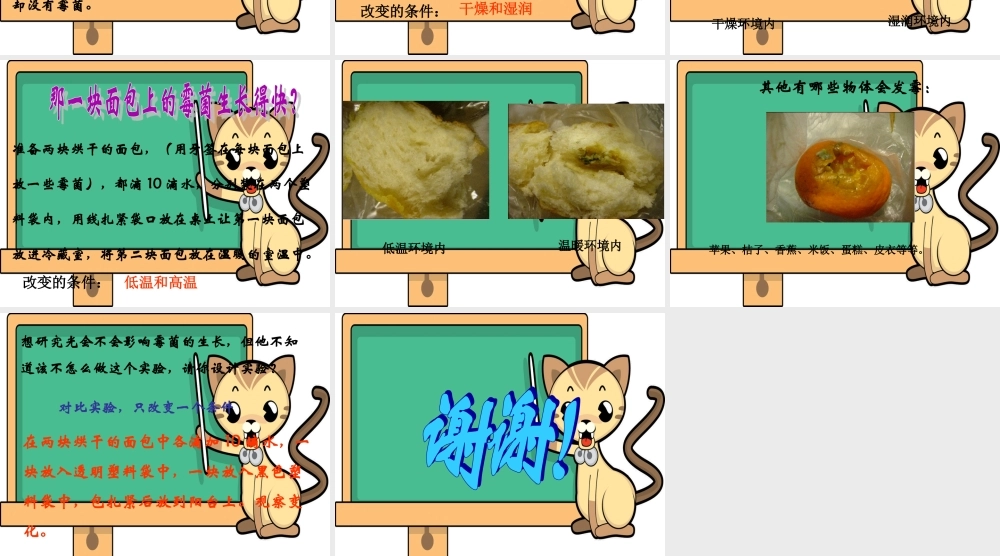 首师大小学科学五上《8.发霉》PPT课件(1).ppt
