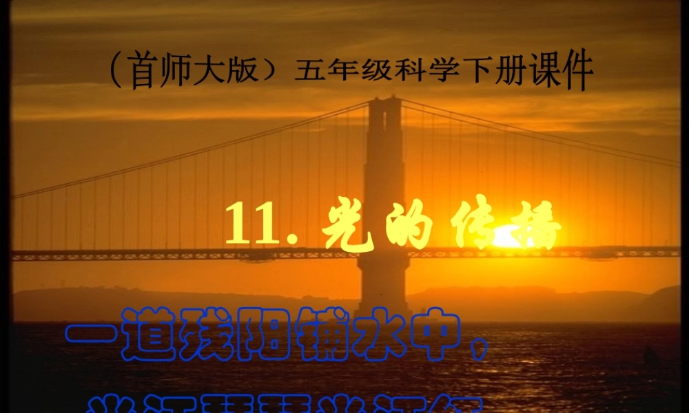 首师大小学科学五下《11.光的传播》PPT课件.ppt