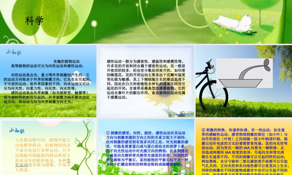 首师大小学科学六上《19.动物的考察》PPT课件.ppt