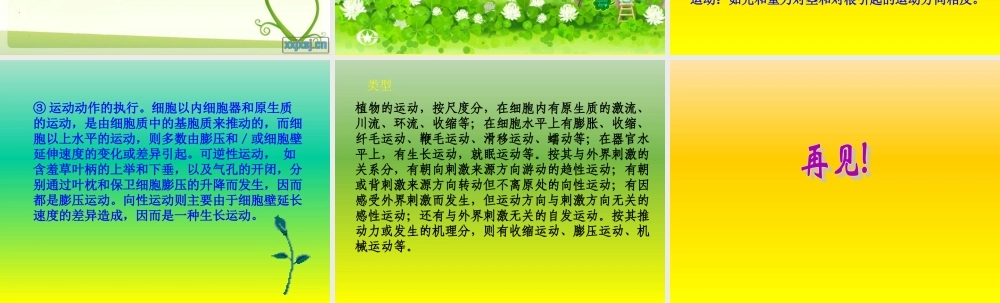 首师大小学科学六上《19.动物的考察》PPT课件.ppt