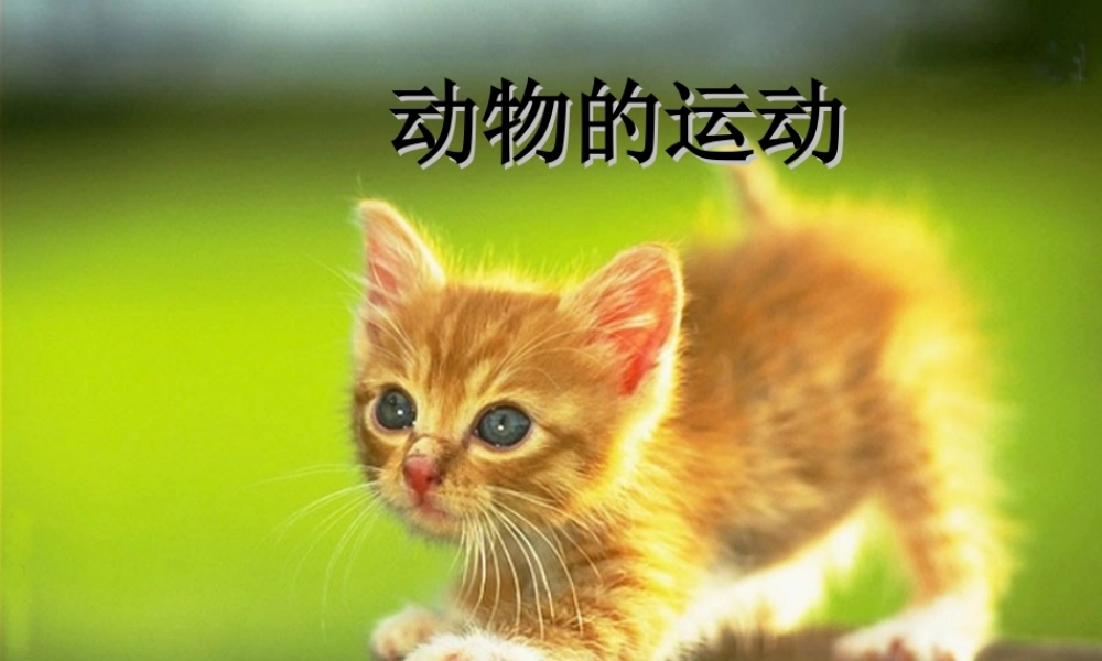 首师大小学科学六上《10.动物的运动》PPT课件.ppt