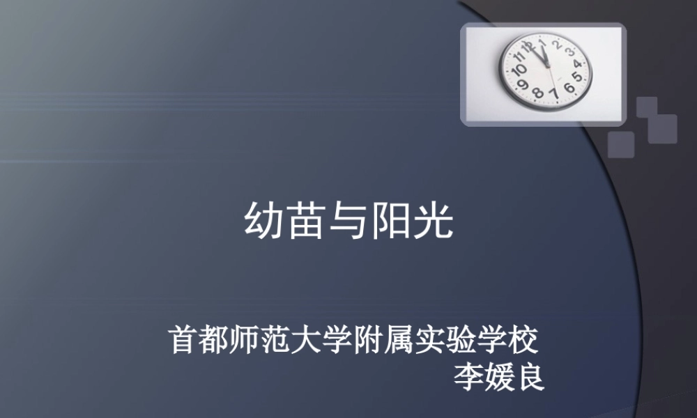 首师大小学科学六上《5.幼苗与阳光》PPT课件.ppt