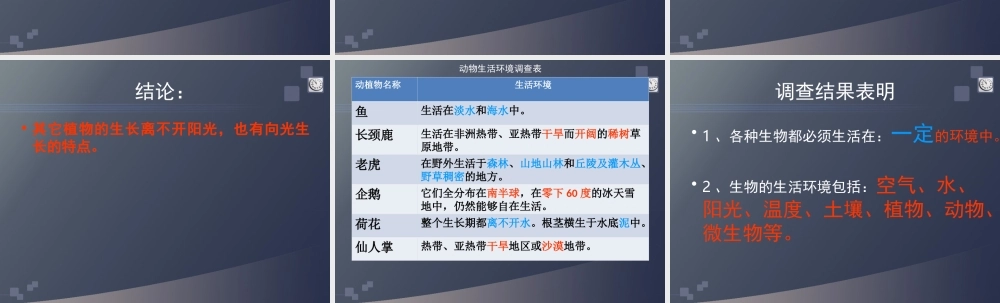 首师大小学科学六上《5.幼苗与阳光》PPT课件.ppt