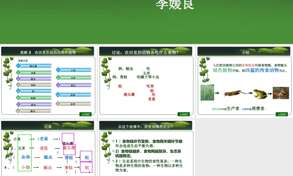 首师大小学科学六上《6.猫头鹰与农田》PPT课件(1).ppt