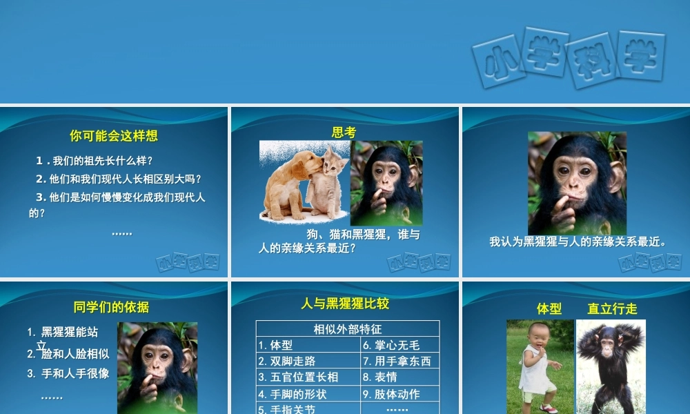 首师大小学科学六上《4.人类的进化》PPT课件.ppt