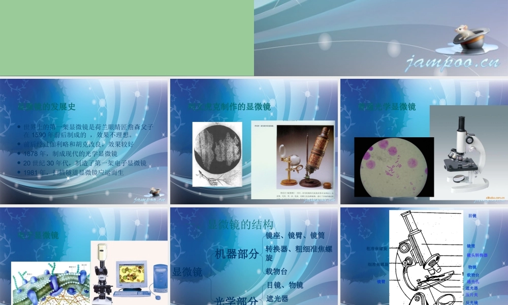 首师大小学科学六下《1.显微镜的发明与发展》PPT课件.ppt