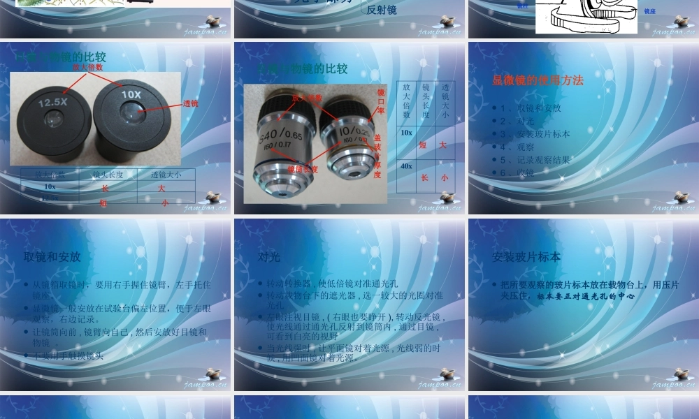 首师大小学科学六下《1.显微镜的发明与发展》PPT课件.ppt