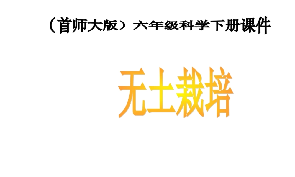 首师大小学科学六下《14.无土栽培》PPT课件.ppt