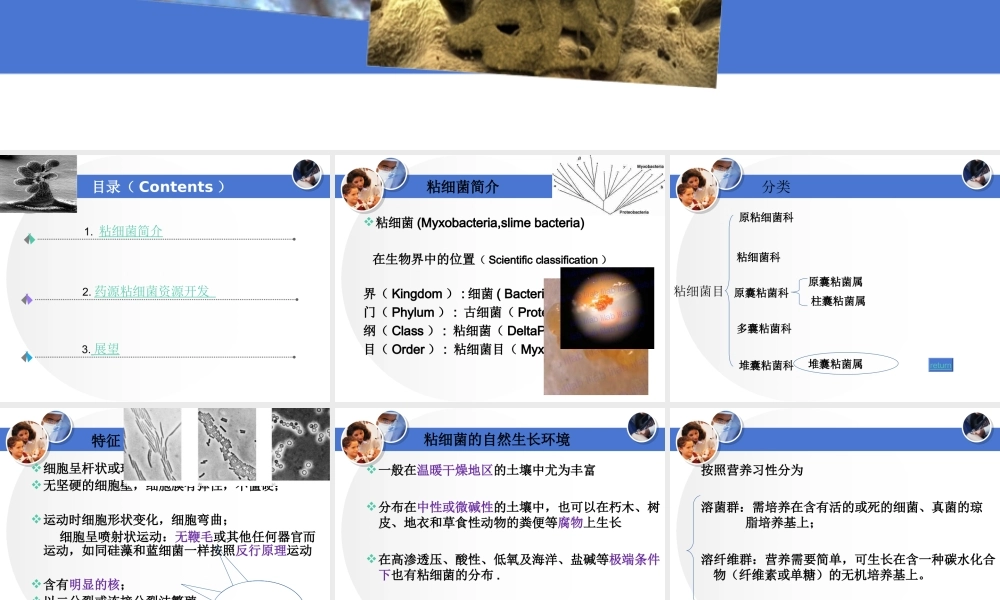 首师大小学科学六下《4.微生物的技术》PPT课件.ppt