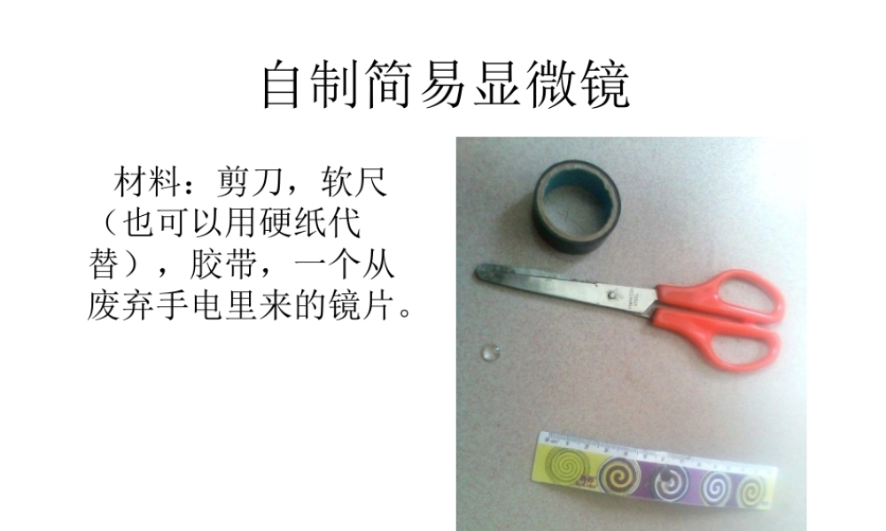 首师大小学科学六下《2.制作简易显微镜》PPT课件.ppt