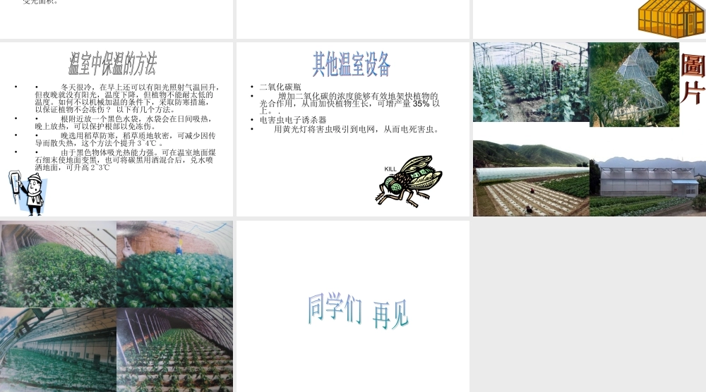 首师大小学科学六下《15.温室技术》PPT课件(2).ppt
