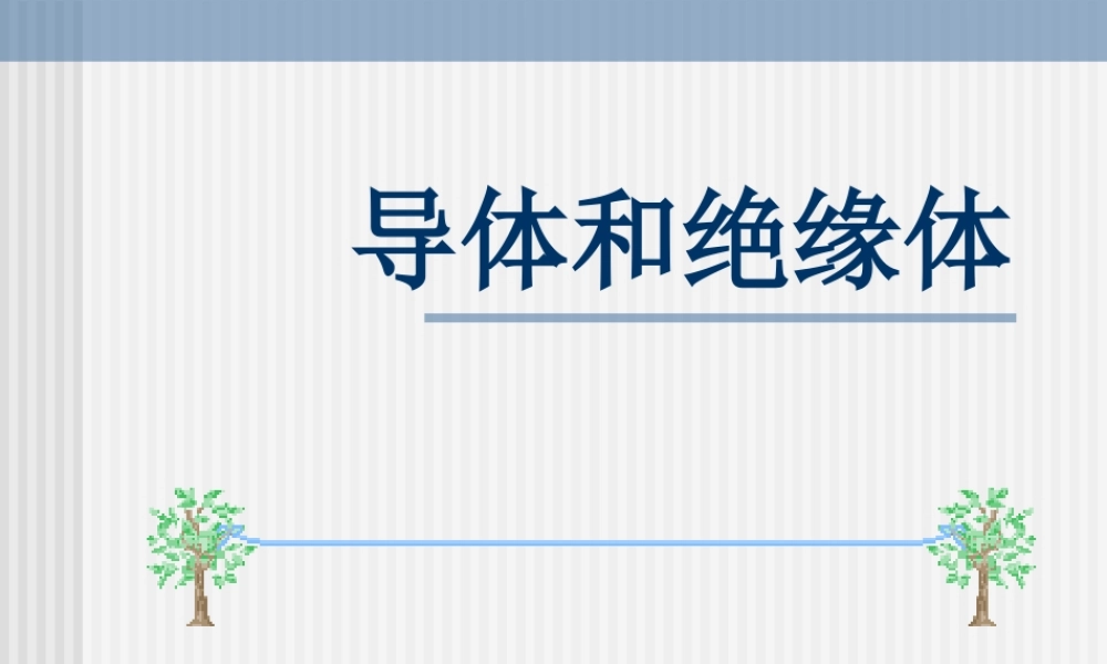 首师大小学科学四上《11.导体和绝缘体》PPT课件.ppt