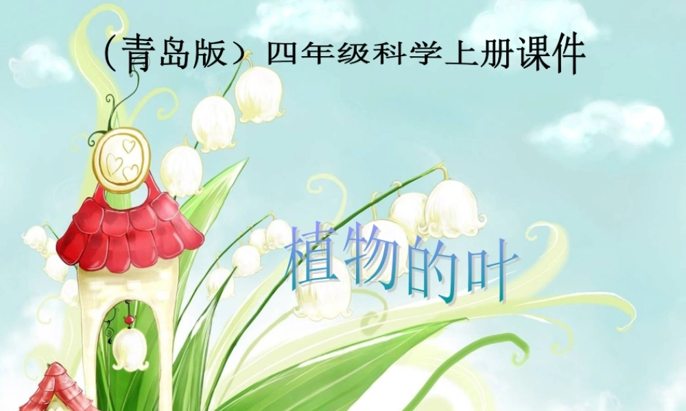 首师大小学科学四上《5.各种各样的叶》PPT课件.ppt