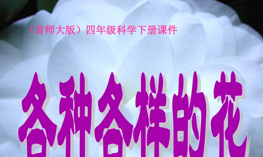 首师大小学科学四下《10.各种各样的花》PPT课件(4) .ppt
