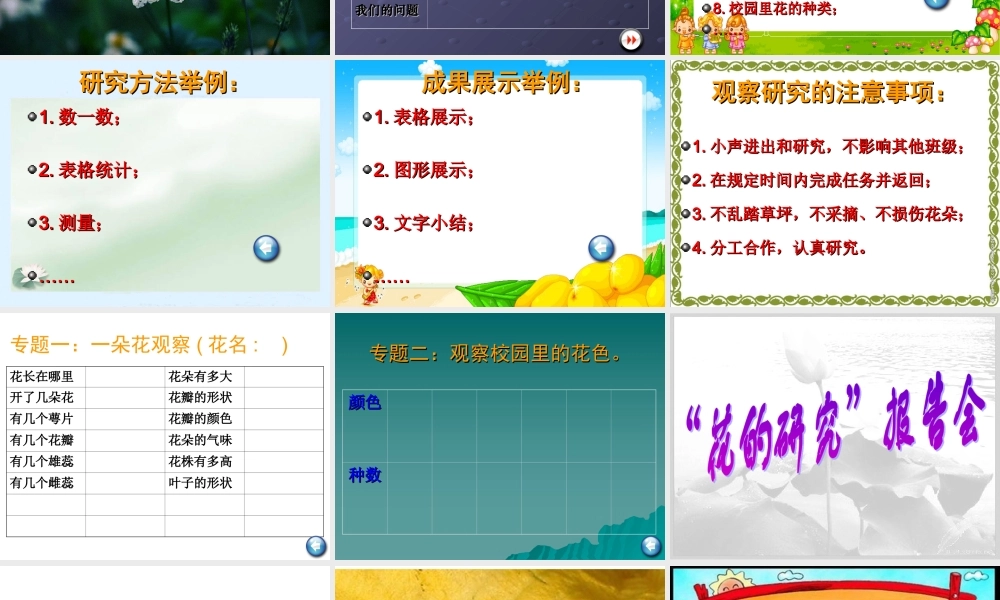 首师大小学科学四下《10.各种各样的花》PPT课件(4) .ppt