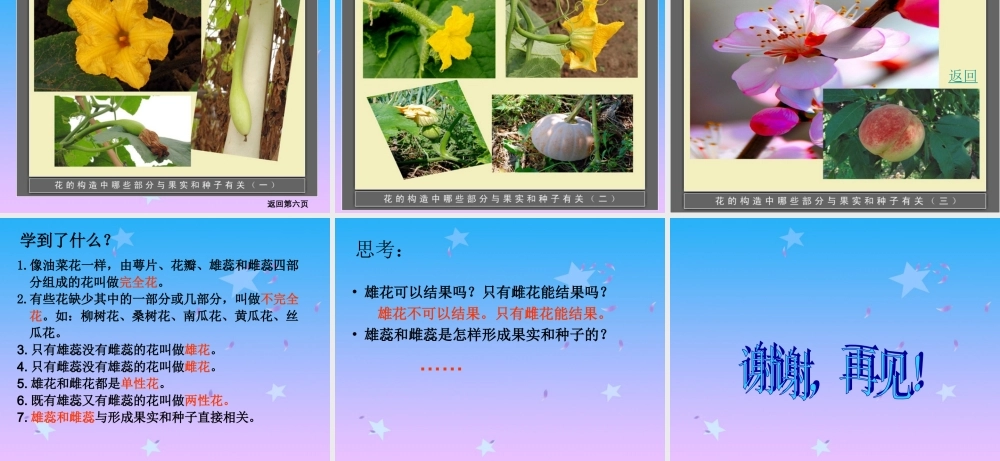 首师大小学科学四下《10.各种各样的花》PPT课件(1) .ppt