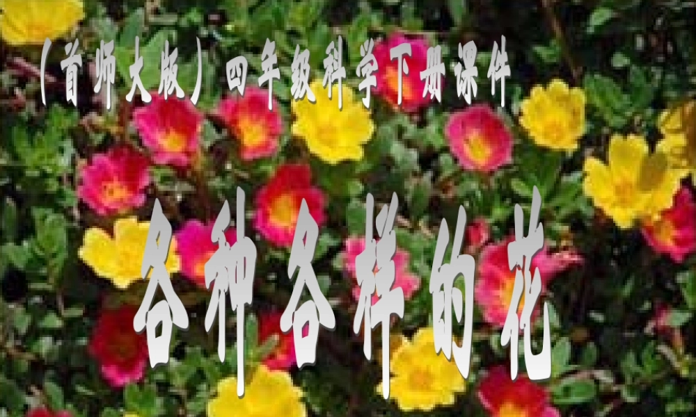 首师大小学科学四下《10.各种各样的花》PPT课件(3) .ppt