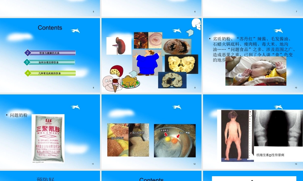 首师大小学科学四下《13.饮食与健康》PPT课件(2).ppt