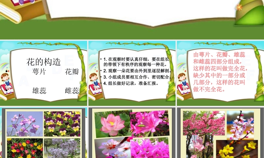 首师大小学科学四下《10.各种各样的花》PPT课件(2) .ppt