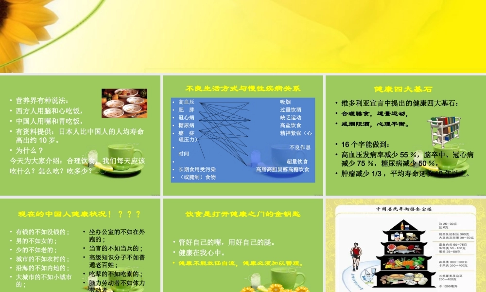 首师大小学科学四下《13.饮食与健康》PPT课件(1).ppt