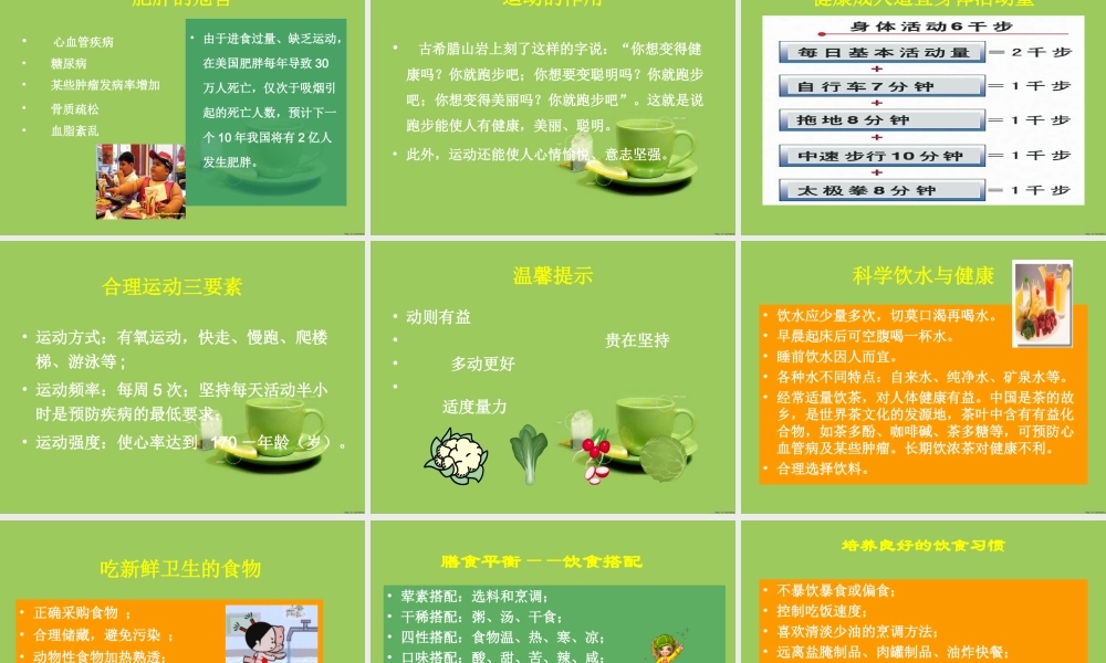首师大小学科学四下《13.饮食与健康》PPT课件(1).ppt