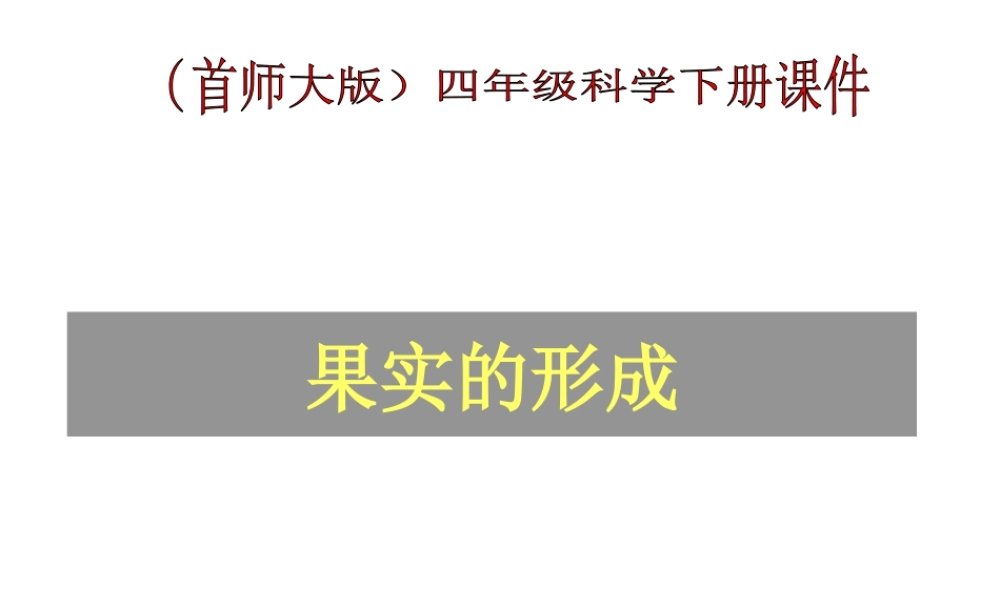 首师大小学科学四下《12.果实的形成》PPT课件.ppt
